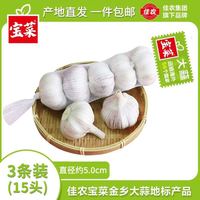 宝菜 大蒜25年紫白皮干蒜产地红皮蒜大果新鲜大蒜生鲜蔬菜 3条装（5头/条 单果约5.0cm）