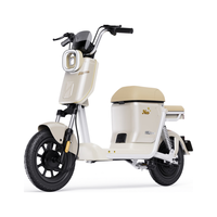 绿源NEO1 新新国标电动自行车 智能高性价比电动车 成人通勤代步时尚可上牌长续航电自 到门店选颜色-4830锂电