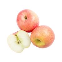 都乐Dole 山东姝丽苹果4.5斤 单果200g+ 生鲜水果 源头直发