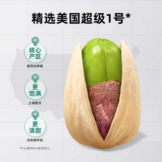 天虹牌开心果美国大颗淡盐味不漂白每日坚果炒货干果休闲零食大礼包 【520g】260g美国开心果*2