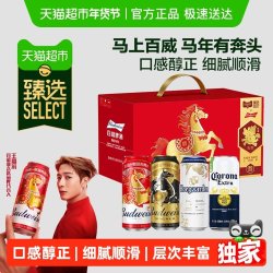 百威 年货 啤酒礼盒 10罐
