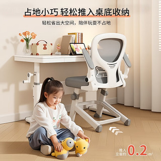  全品屋 人体工学 学习椅 靠背 书桌