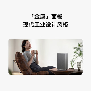 Xiaomi/小米 金属面板 音箱