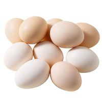 百亿补贴：芮瑞 无抗鸡蛋50克高品质鲜蛋新鲜散养营养蛋现捡现发16枚