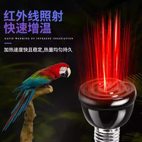 捕渔达人 鹦鹉陶瓷保温灯保暖加热防烫 50w灯泡+防烫灯罩套装