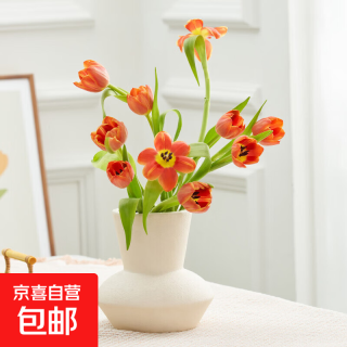 京东鲜花 京东郁金香鲜花 10枝 随机色