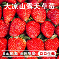 异果恋大凉山露天草莓高原红颜草莓水果礼盒现摘现发草莓礼盒装 2斤装（精选10g+）净重1.5斤【尝鲜款】