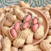 播种心情四粒红花生种子高产薄壳红皮黑花生米种孑鲁花8号大果粒白沙国审 鲁花8号花生种子拆包100粒
