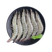东方甄选 鲜活速冻 白对虾