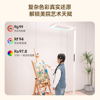 20点开始：孩视宝 E5-160W-R 护眼大路灯 160W 矿石白