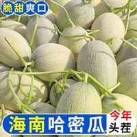 百亿补贴：御品一园 丨海南哈密瓜丨西州蜜25号丨新鲜水果脆甜多汁蜜瓜8.2斤