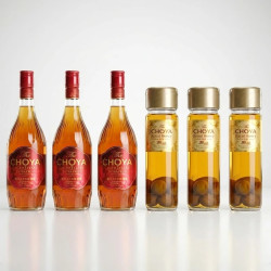 CHOYA 果韵三年熟成本格梅酒 15%vol 720ml*3+皇蜜本格梅酒 17%vol 700ml*3