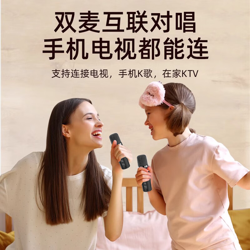 旗舰版（含2个话筒）