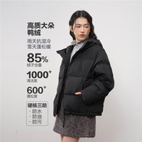 GIORDANO CONCEPTS GC2025 男女同款羽绒服 12075604