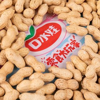 口水娃 盐焗味带壳花生 1斤 休闲零食