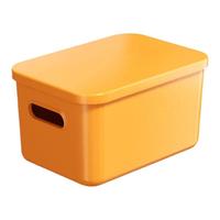 希维思 杂物收纳箱家用零食玩具塑料储物盒装书本整理筐衣柜衣服置物箱子