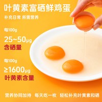 正大 叶黄素富硒无抗无沙门氏菌 新鲜鸡蛋
