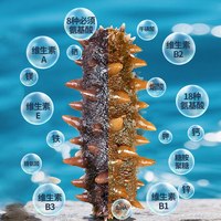 老尹家 山东青岛 淡干海参5年滋补礼盒250g50-60头