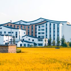乌镇乌村稻舍乡村酒店2天1晚亲子套餐含西栅门票