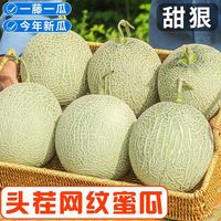 百亿补贴：御品一园 正宗网纹蜜瓜 4.5斤