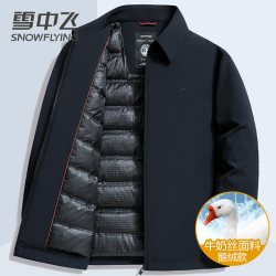 雪中飞 SNOW FLYING 雪中飞 中年男士羽绒服 X30147977F-ZL23793T