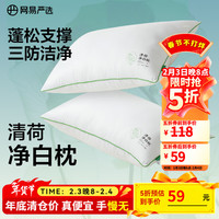 网易严选 高弹杜邦乳胶棉枕 两只装