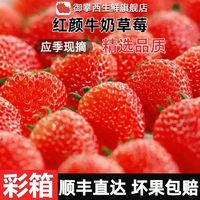 百亿补贴：大凉山 牛奶草莓 2斤起 单果15克 顺丰直达