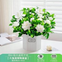 栀子花绿植盆栽带花苞室内浓香花卉阳台桌面多季开花好养易活植物