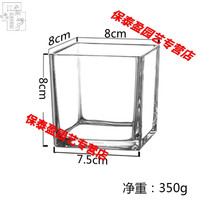 LZJV简约加厚正方形水培玻璃花盆透明方缸水养绿萝睡莲铜钱草玻璃 8.8厘米平面四方缸(较小)
