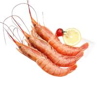 阿根廷红虾L1鲜活超特大红虾冷冻大虾4斤速冻船冻海鲜水产年货