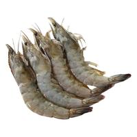 鲜起源 海捕大虾 冷冻生鲜