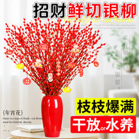 苏沥银柳真花鲜枝干花摆件室内客厅鲜花绿植新年年宵花卉植物过年春节 【精品A+级】粗枝银柳60cm高20枝+小挂件