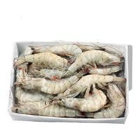 缤鲜 厄瓜多尔白虾大虾 鲜活速冻特大生鲜 海鲜水产鲜活冰冻虾基围虾 15-18cm 3斤(净重)