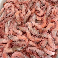 浙奉渔 东海野捕红虾 新鲜船冻海虾