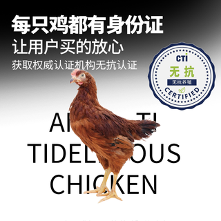 哥哥鲜 无抗黄油鸡 散养原粮饲喂 生鲜整鸡