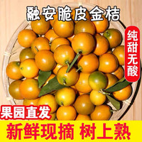 粤迎 广西脆皮小金桔 3斤精选装净2.8斤