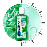 Prokudent必固登洁德国含氟漱口水含漱防蛀口腔清洁清新口气漱口水 成人绿色漱口水