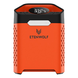 ETENWOLF 车载充气泵