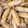 鲜活蛏子蛏王海蛏子新鲜纯海鲜天然无污染大蛏子竹节蛏笔杆蛏 6斤蛏王
