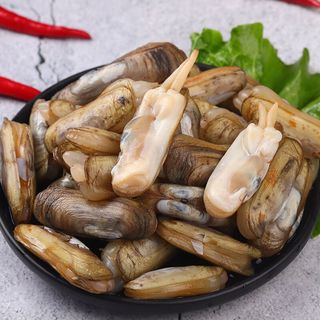 鲜活蛏子蛏王海蛏子新鲜纯海鲜天然无污染大蛏子竹节蛏笔杆蛏 6斤蛏王
