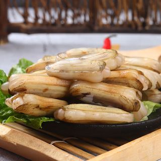 鲜活蛏子蛏王海蛏子新鲜纯海鲜天然无污染大蛏子竹节蛏笔杆蛏 6斤蛏王