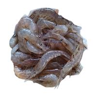 林中山 鲜活冷冻小白虾 3-5cm 1000g