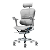 Ergonor 人体工学椅  办公椅、电脑椅、电竞椅 银白美国