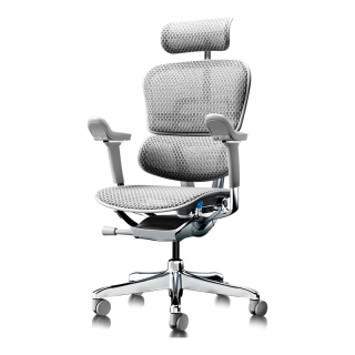 Ergonor 保友金豪E2 Pro 人体工学椅 办公椅电脑椅电竞椅 银白美国网
