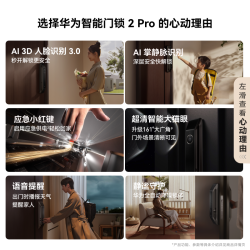 华为 智能门锁 2Pro AI掌静脉