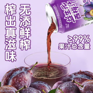 葡口 果肉饮料果汁清甜解腻饮料健康饮品干净0添加防腐剂 益生元西梅238ml*10罐 现货速发破损包赔