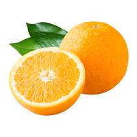  集年鲜 新鲜现摘 赣南脐橙  4.5kg/箱 箱装 4.5kg 净重9斤信丰铂金果 单果150-220g