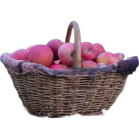 果益寿 新疆冰糖心苹果 脆甜多汁新鲜应季红富士生鲜水果丑苹果 带箱10斤 单果80-85mm 净重8.5斤