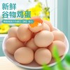 倚竹林农家散养新鲜农村初生蛋草鸡蛋柴鸡蛋笨鸡蛋土鸡蛋谷物珍珠普通
