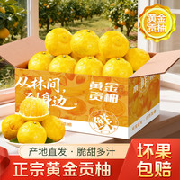 移动端、京东百亿补贴：天乐优选 湖南怀化洪江黔阳黄金贡柚 4.5斤 60mm起